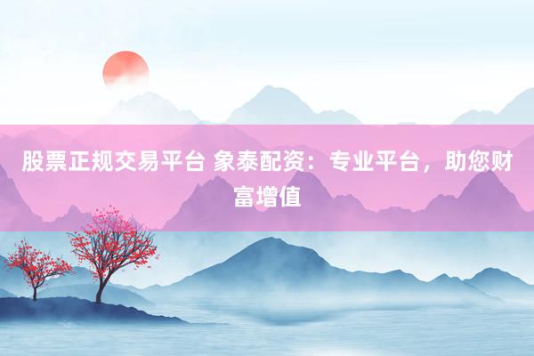股票正规交易平台 象泰配资：专业平台，助您财富增值
