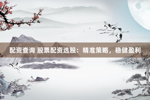 配资查询 股票配资选股：精准策略，稳健盈利