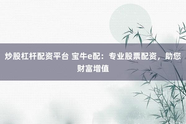 炒股杠杆配资平台 宝牛e配：专业股票配资，助您财富增值
